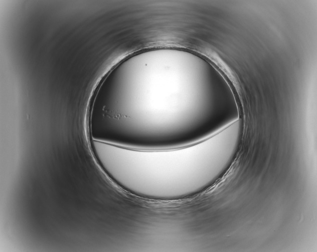 X0000093761293200710160828