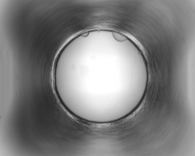 X0000093761294200710160828