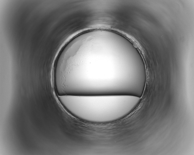 X0000093761295200710160828
