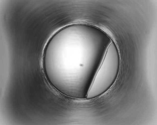 X0000093761296200710160828