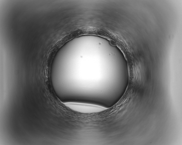 X0000093761301200710160827