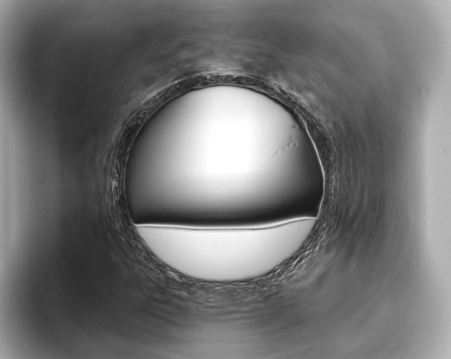 X0000093761303200710160827