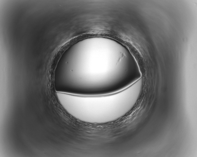 X0000093761304200710160827