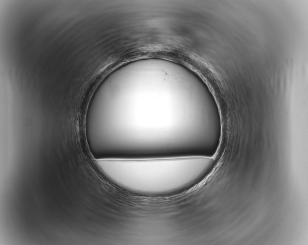 X0000093761305200710160827