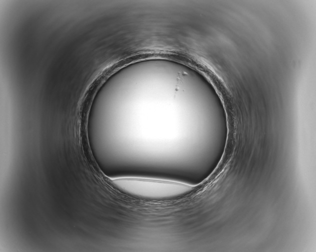X0000093761307200710160827