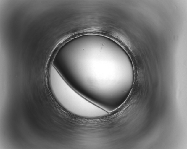 X0000093761308200710160827