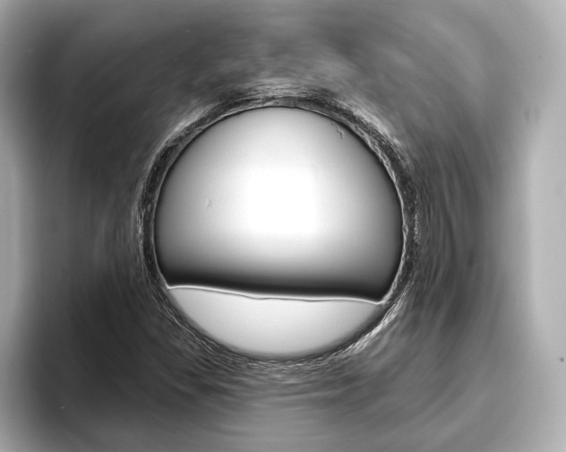 X0000093761309200710160827