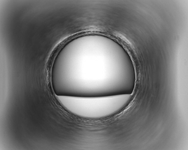 X0000093761310200710160827