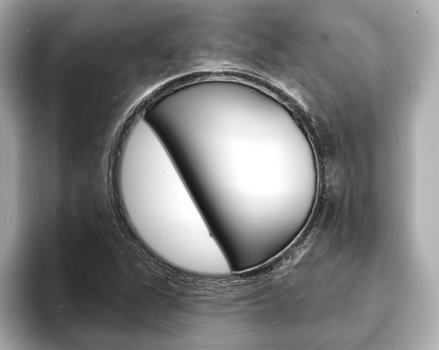 X0000093761311200710160827