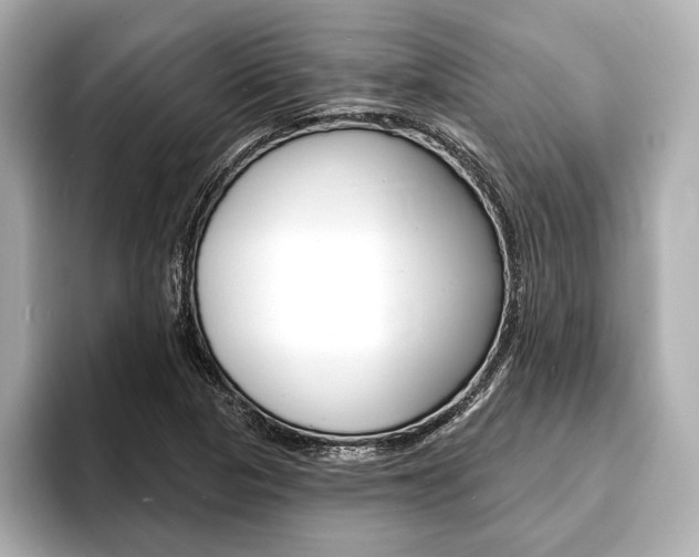 X0000093761313200710160827
