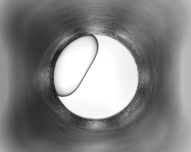 X0000093761314200710160827