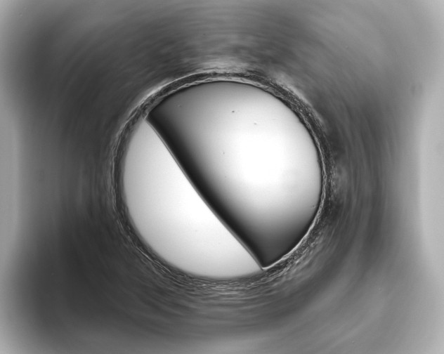 X0000093761315200710160827