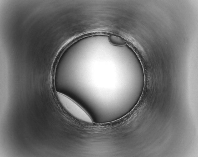 X0000093761316200710160827