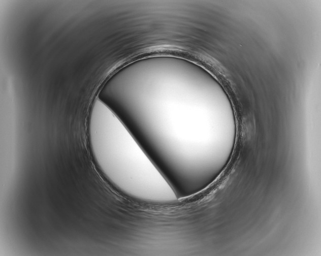 X0000093761321200710160827