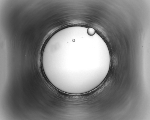 X0000093761322200710160828