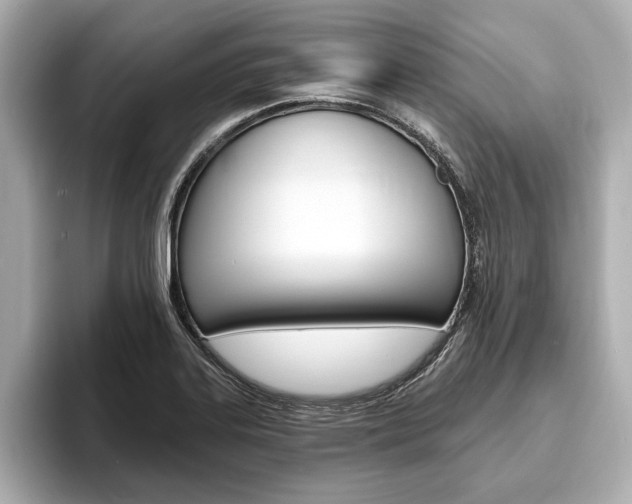X0000093761323200710160828