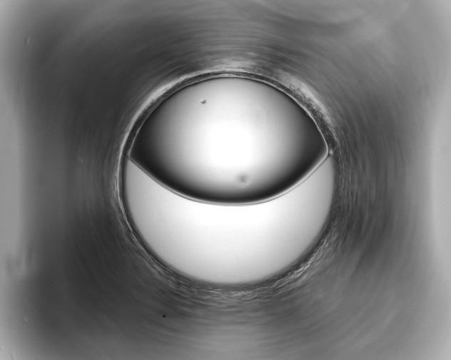 X0000093761324200710160828