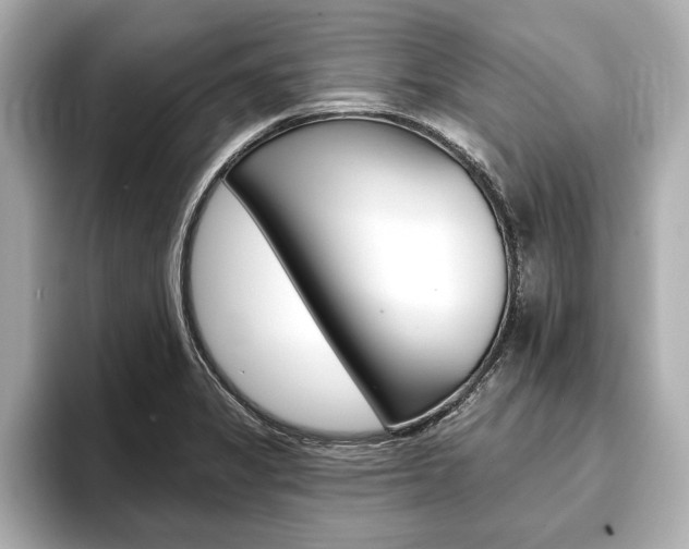 X0000093761325200710160828