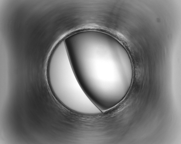 X0000093761326200710160828