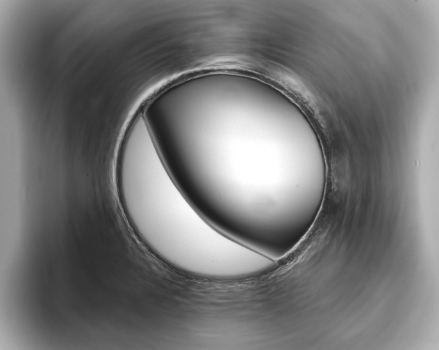 X0000093761328200710160828