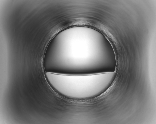 X0000093761329200710160828