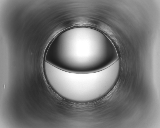 X0000093761330200710160828