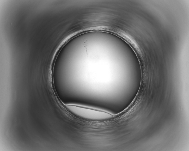 X0000093761332200710160828