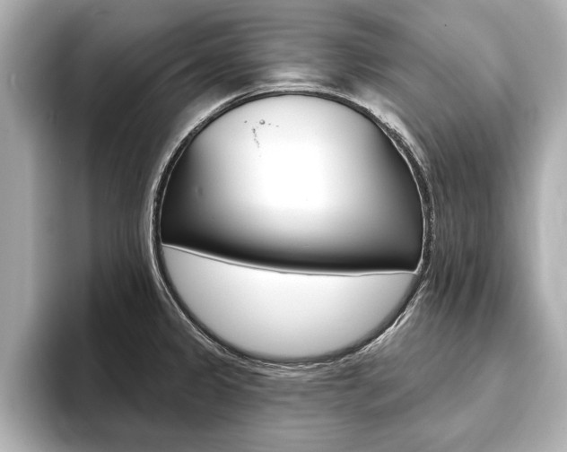 X0000093761333200710160828
