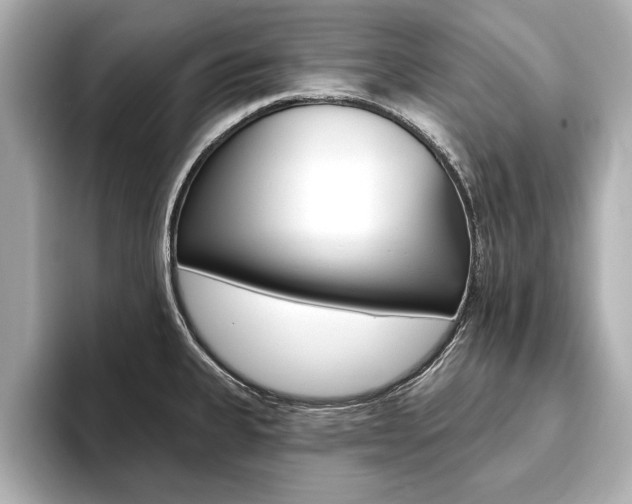 X0000093761335200710160828