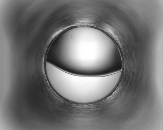 X0000093761336200710160828