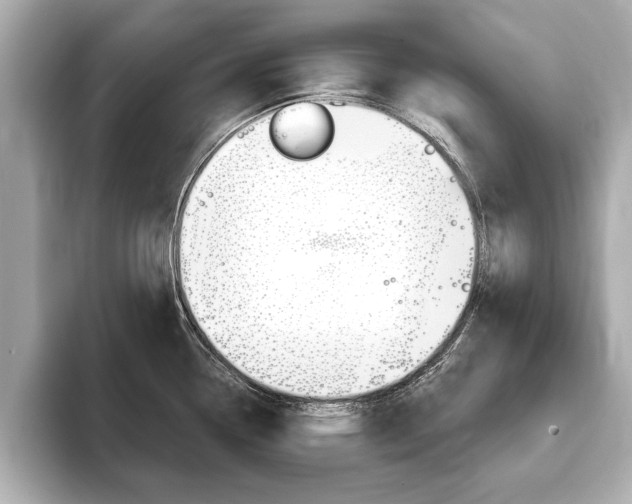 X0000093761338200710160828