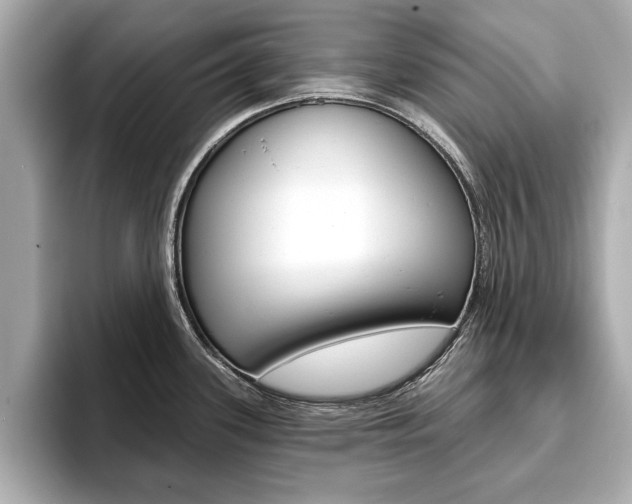 X0000093761339200710160828