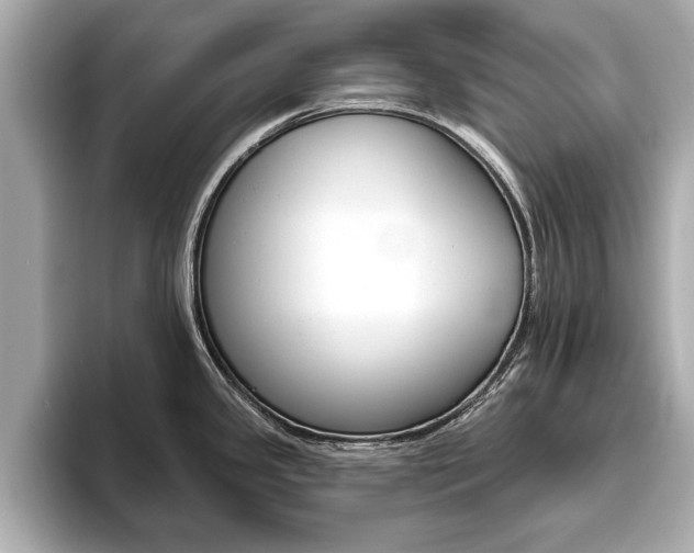 X0000093761341200710160828
