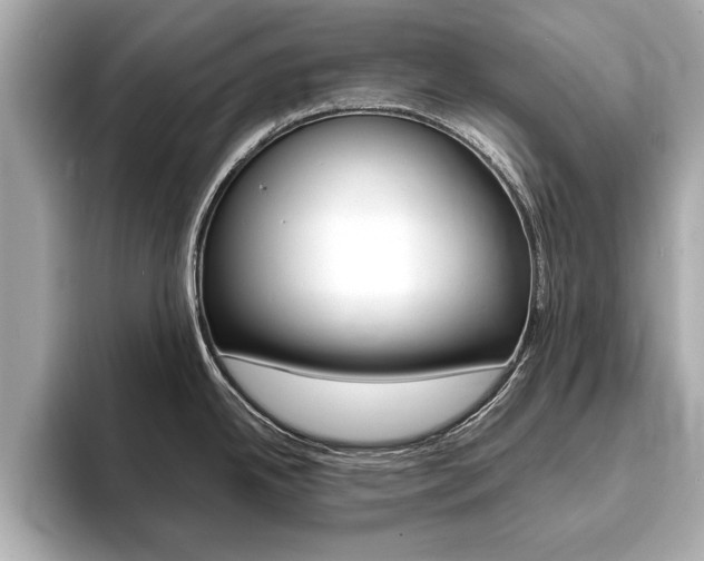 X0000093761342200710160828