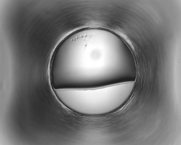 X0000093761343200710160828