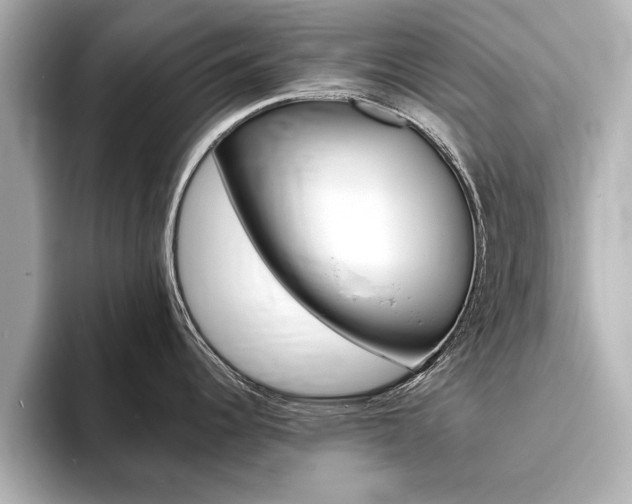 X0000093761344200710160828
