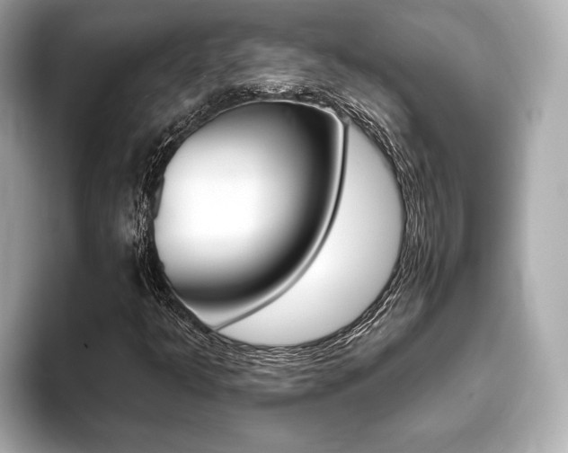 X0000093761349200710160827