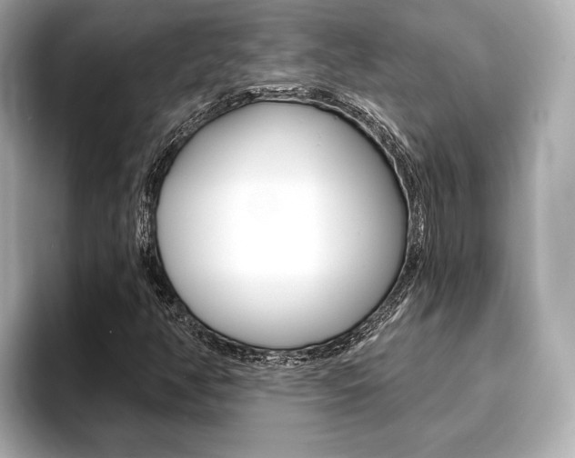 X0000093761350200710160827