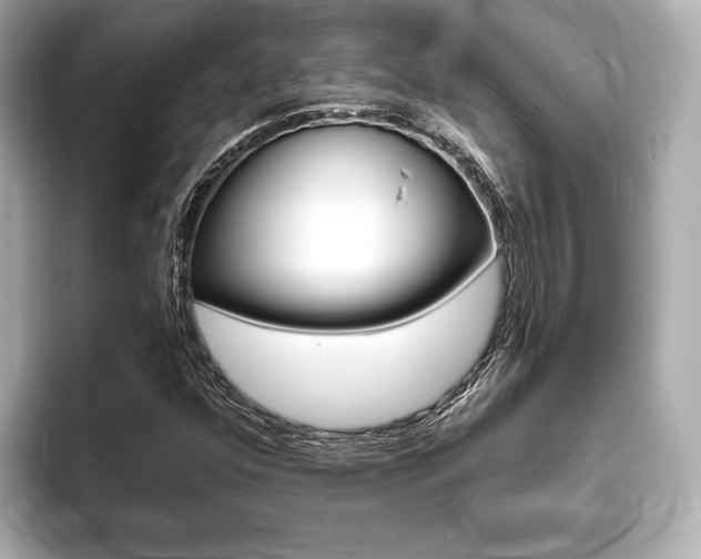 X0000093761352200710160827
