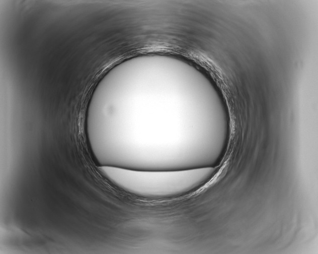 X0000093761353200710160827