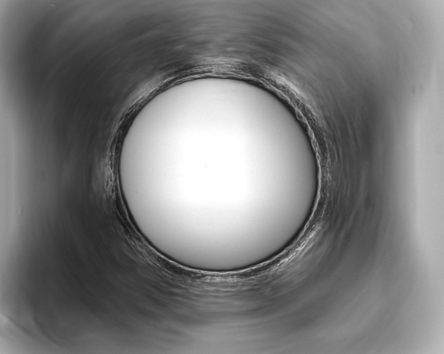 X0000093761354200710160827