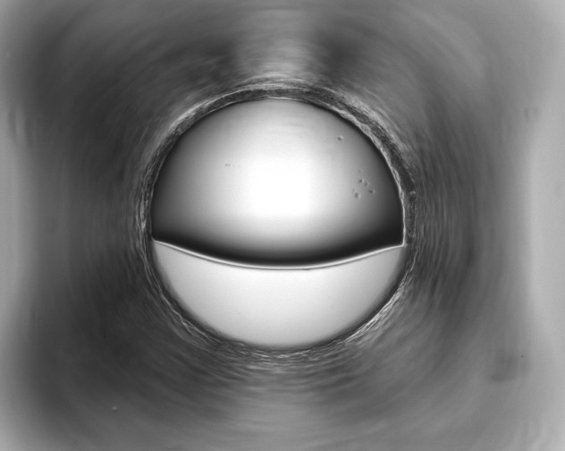 X0000093761355200710160827