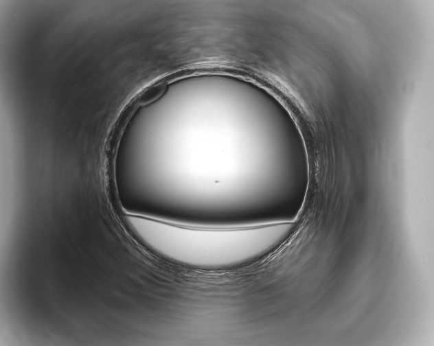 X0000093761356200710160827