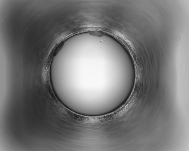 X0000093761357200710160827