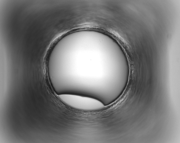 X0000093761358200710160827