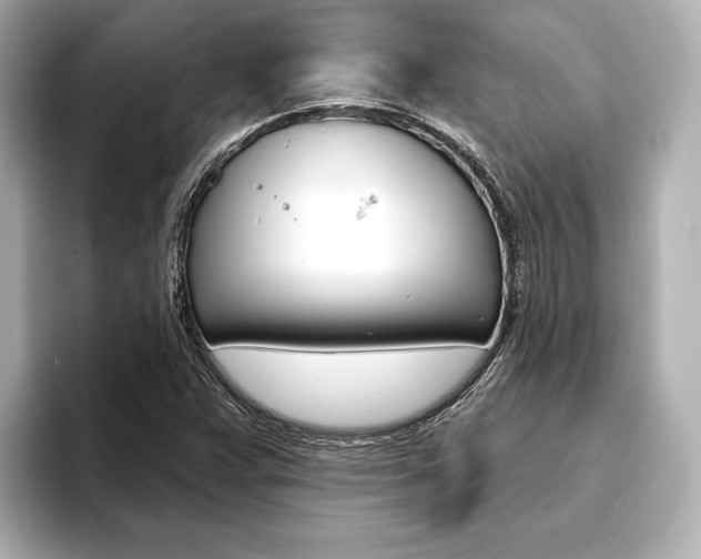 X0000093761359200710160827