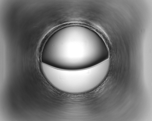 X0000093761360200710160827