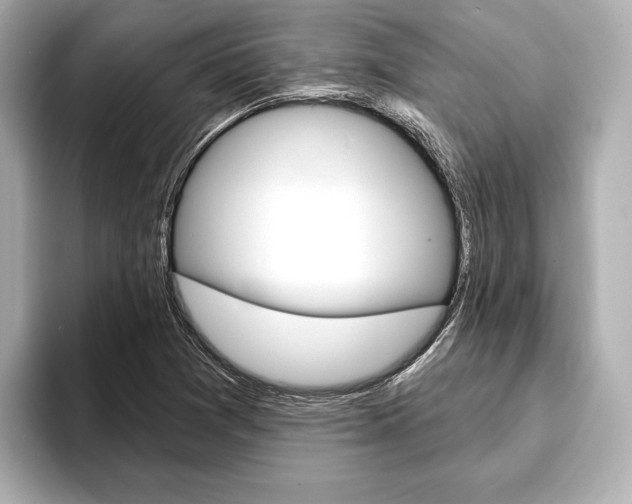 X0000093761361200710160827