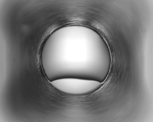 X0000093761362200710160827