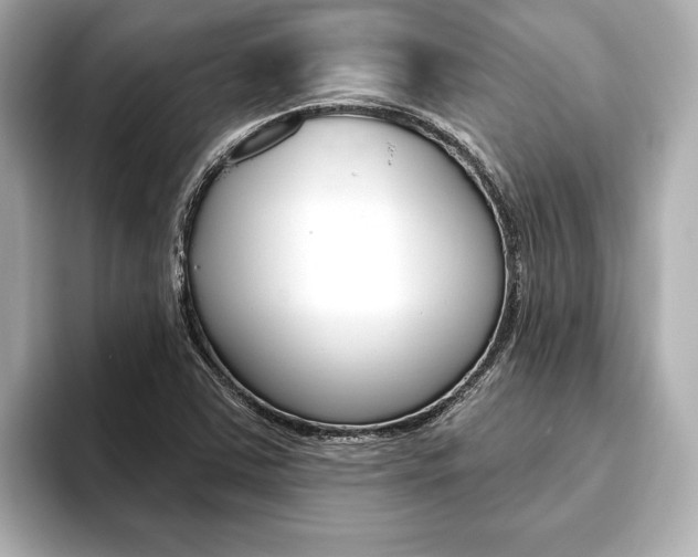 X0000093761363200710160827